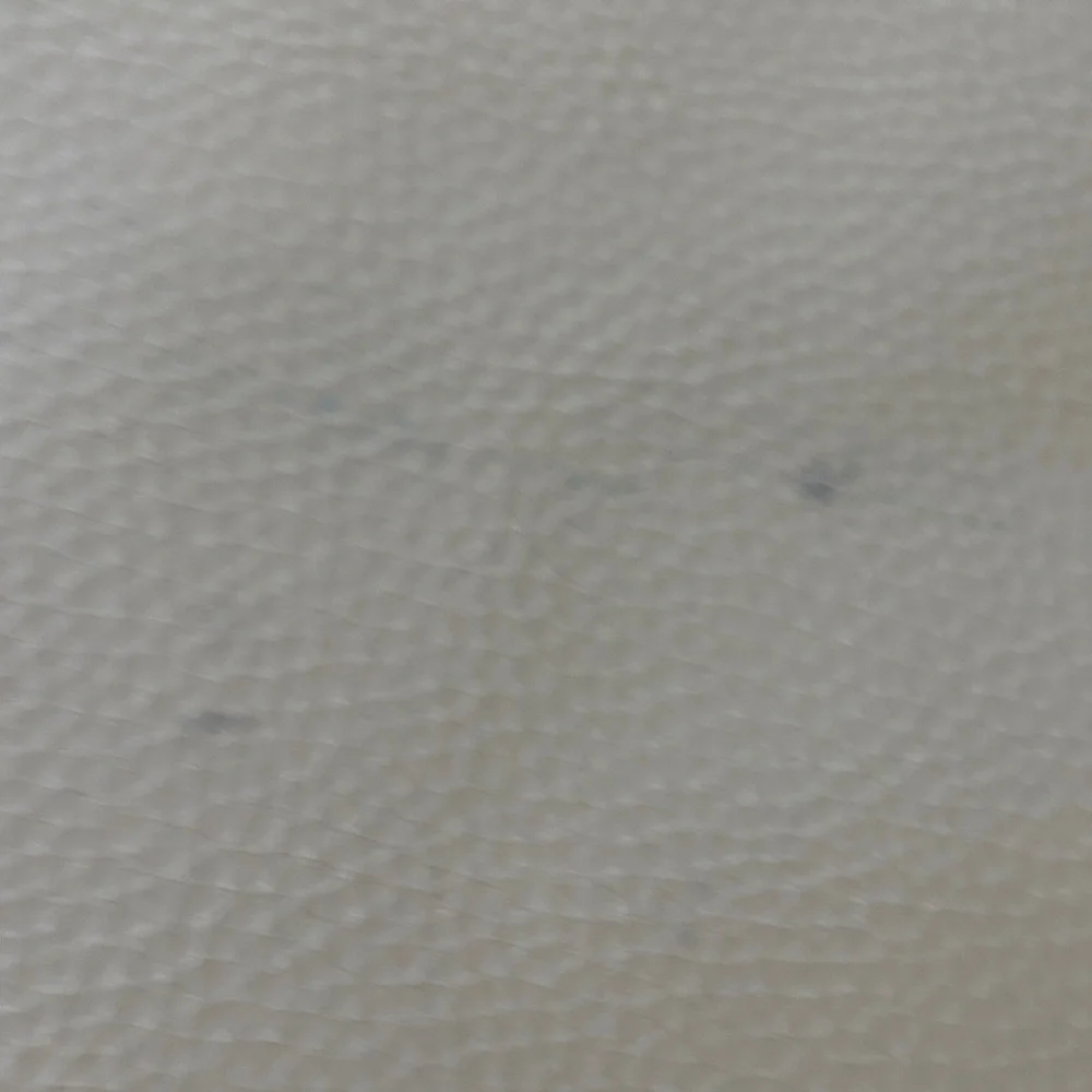 Coach Special Edition Leather Hobo Shoulder Bag in Cream with Riveted Strap - Picture 9 of 10